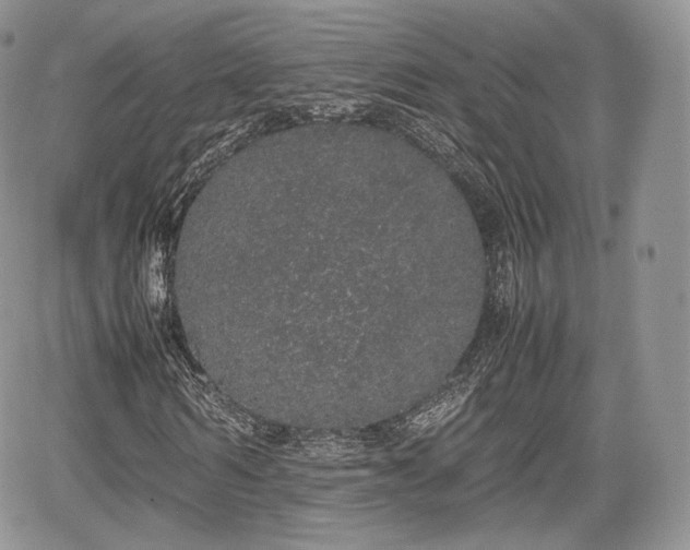 X0000067870962200604171220