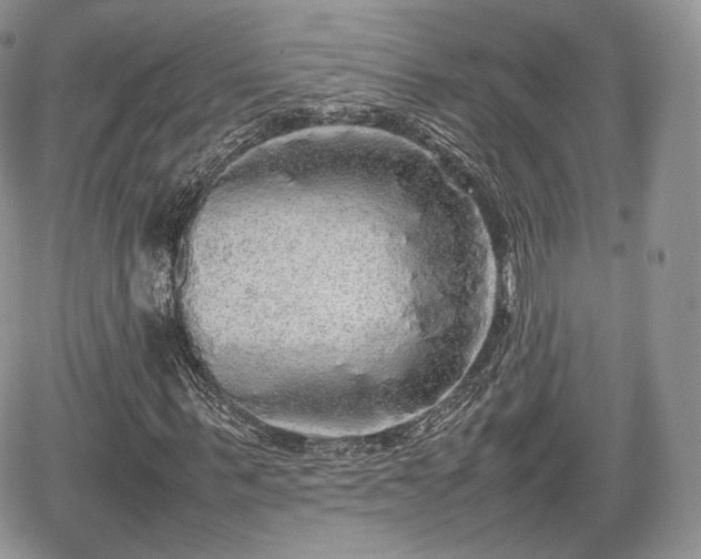 X0000067870963200604171220