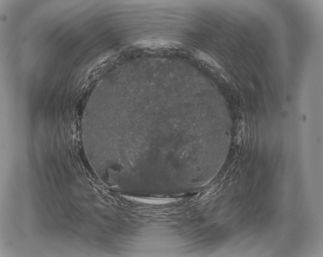 X0000067870966200604171220