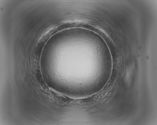 X0000067870967200604171220