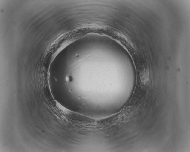 X0000067870968200604171220