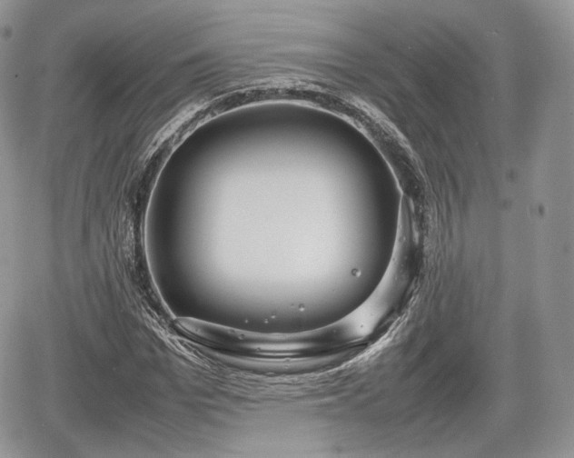 X0000067870969200604171220