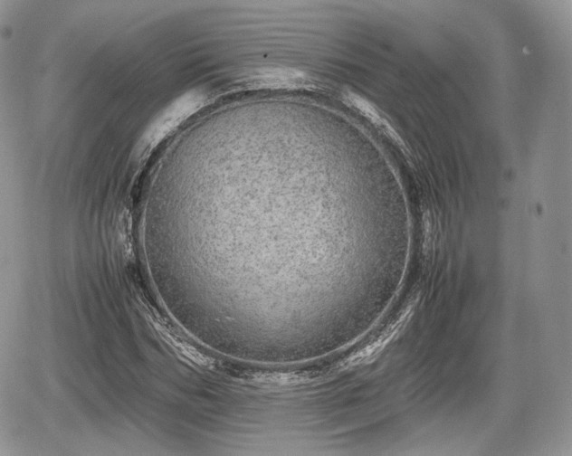 X0000067870970200604171220