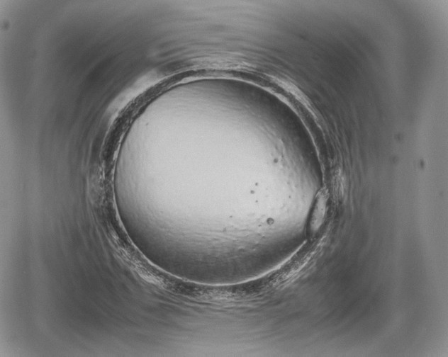 X0000067870971200604171220