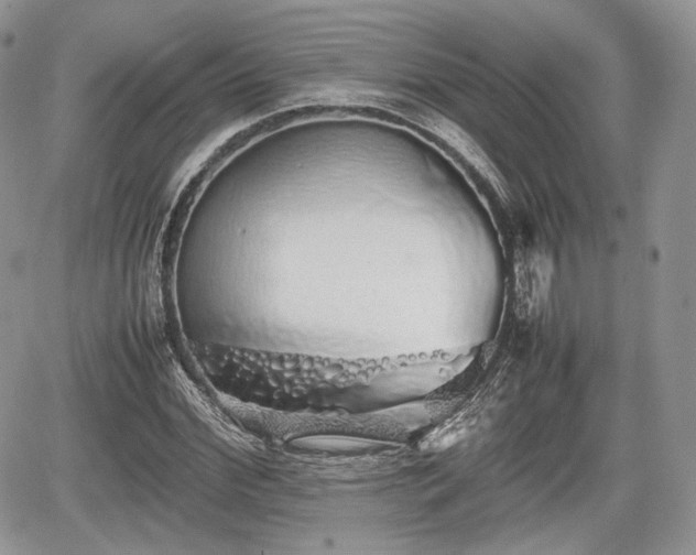 X0000067870972200604171220