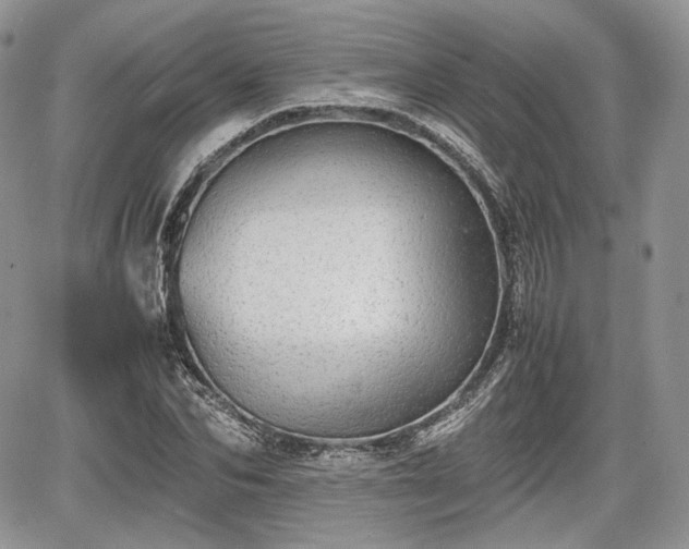 X0000067870974200604171220