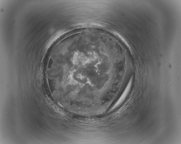 X0000067870975200604171220