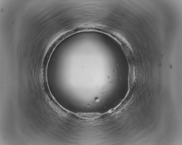 X0000067870976200604171220