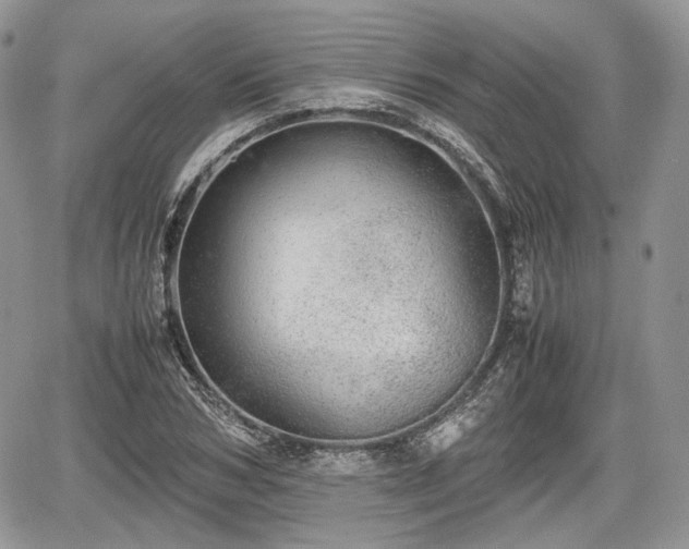 X0000067870978200604171220