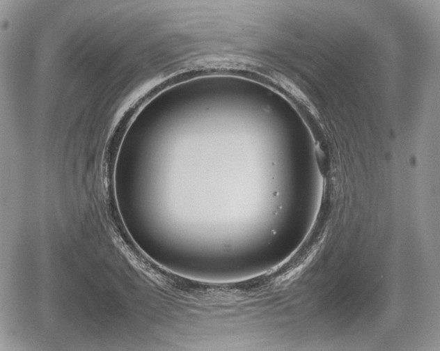 X0000067870981200604171220