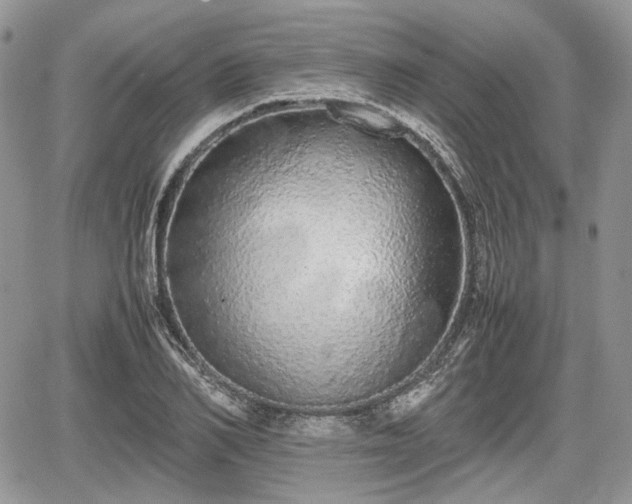 X0000067870982200604171220