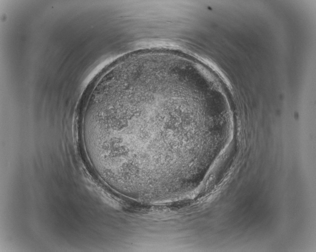 X0000067870983200604171220