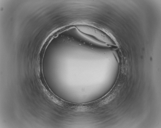 X0000067870984200604171220