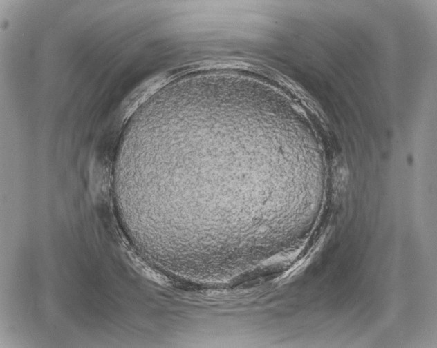 X0000067870985200604171220