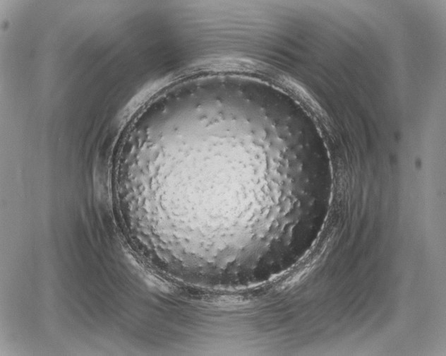 X0000067870986200604171220