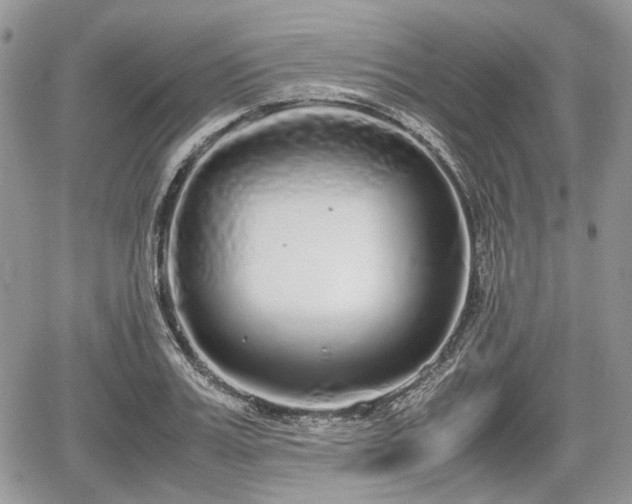 X0000067870987200604171220