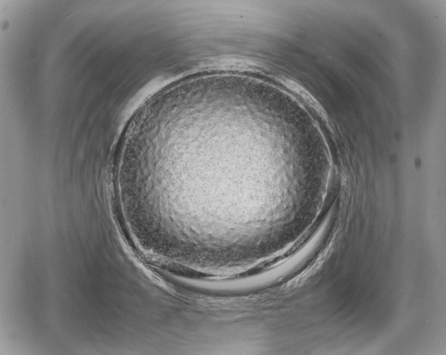 X0000067870989200604171220