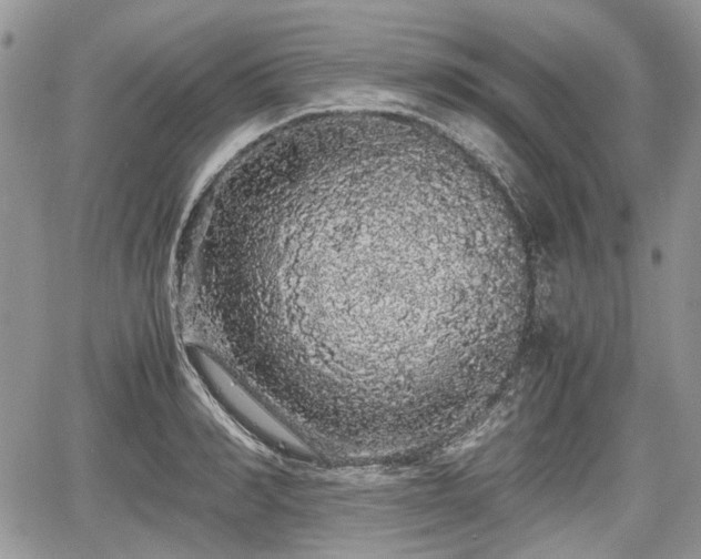 X0000067870990200604171220