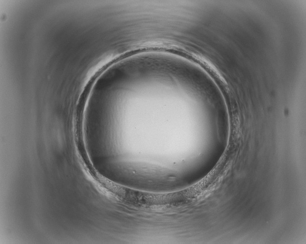 X0000067870991200604171220