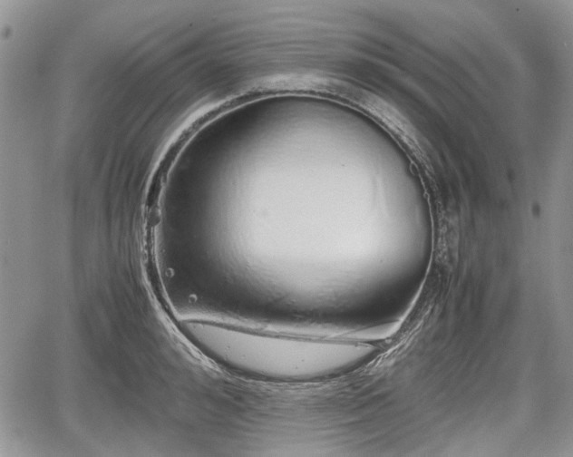 X0000067870992200604171219