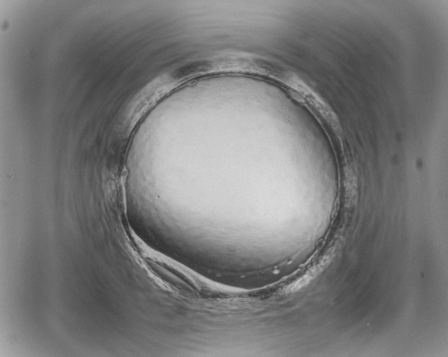 X0000067870993200604171219