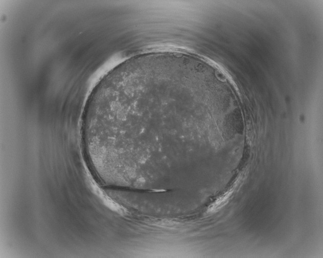 X0000067870995200604171219