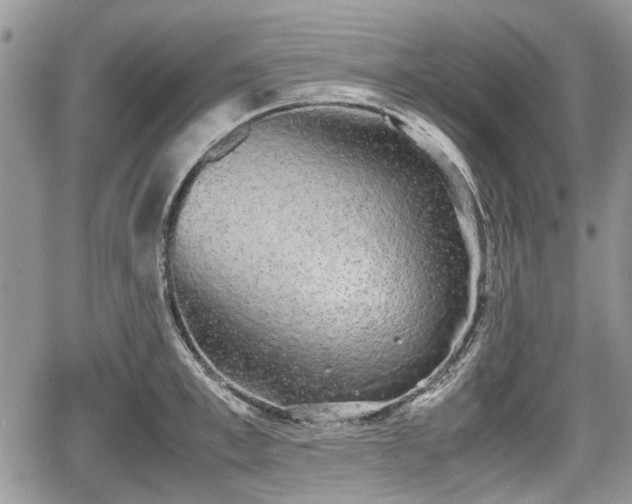 X0000067870997200604171219