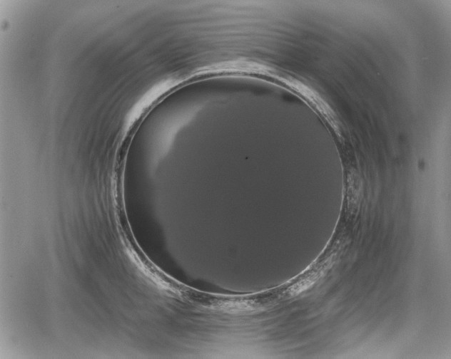 X0000067870998200604171219