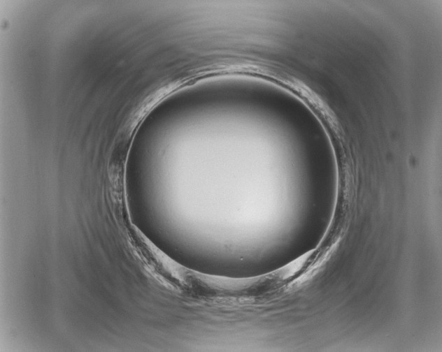 X0000067871001200604171219