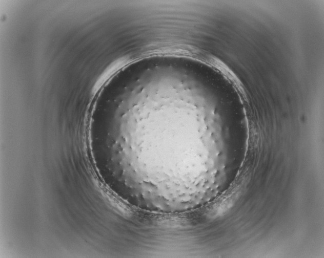 X0000067871002200604171219