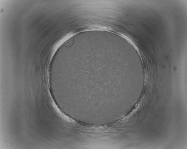 X0000067871003200604171219