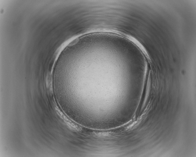 X0000067871004200604171219