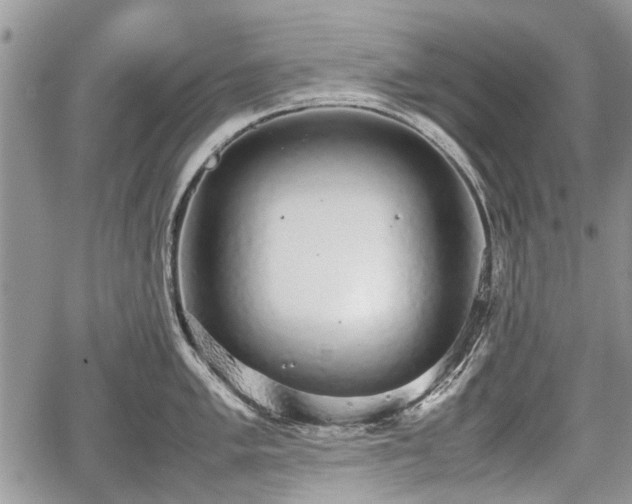 X0000067871005200604171219