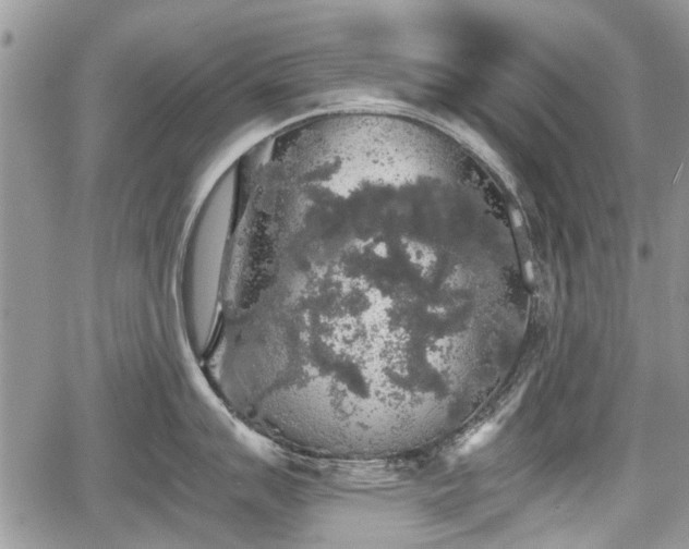 X0000067871007200604171219