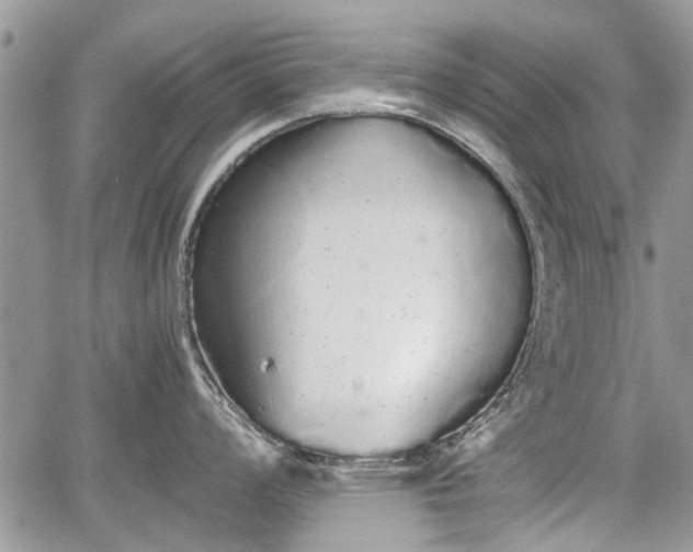 X0000067871008200604171219