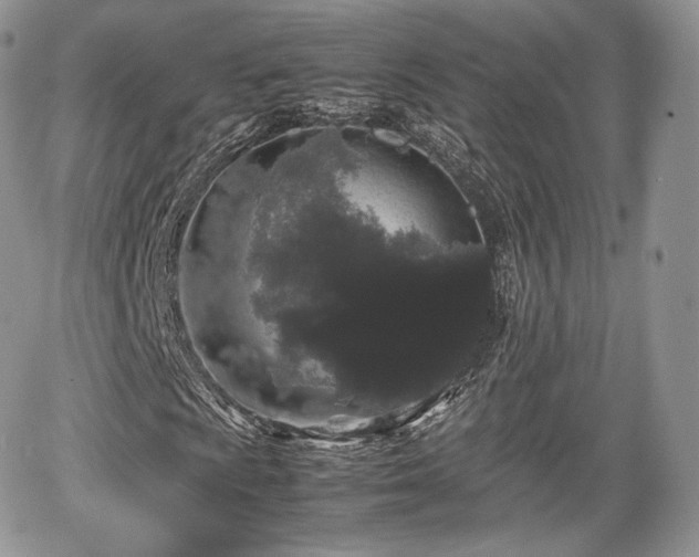 X0000067871009200604171218