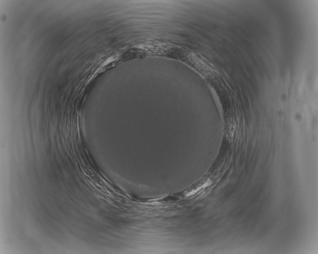 X0000067871010200604171218