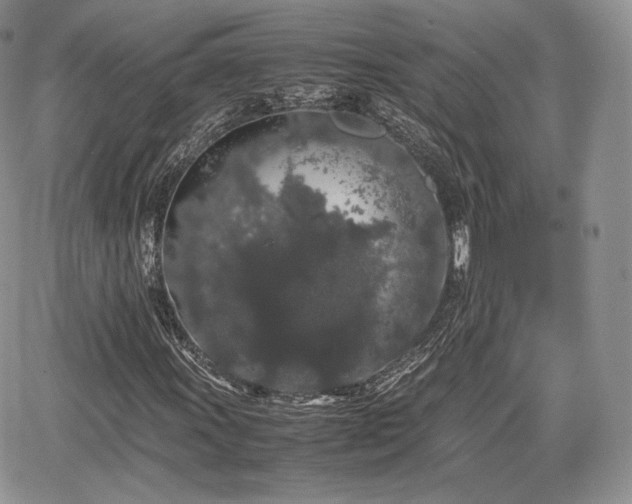 X0000067871011200604171218