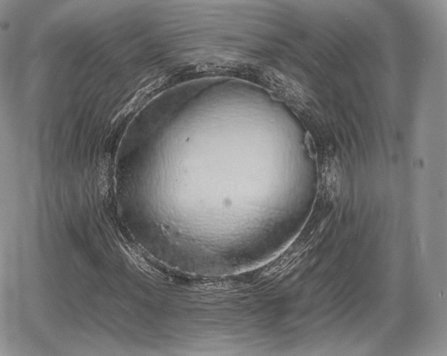 X0000067871012200604171218