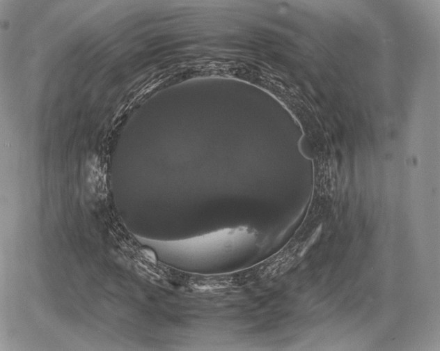 X0000067871013200604171218