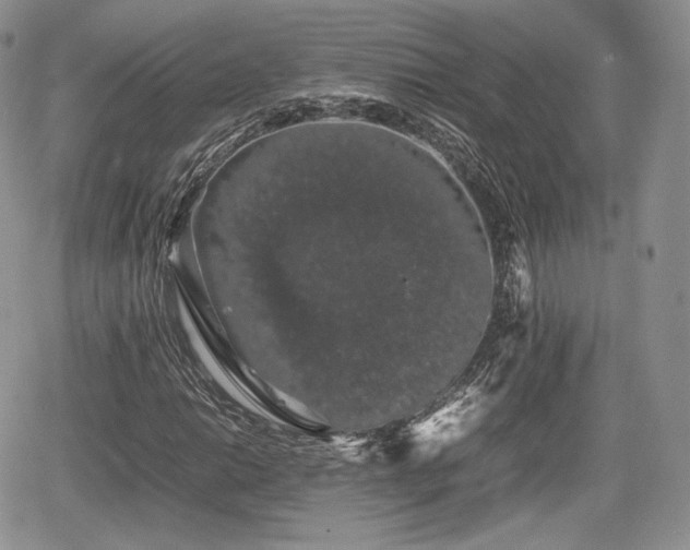 X0000067871014200604171219