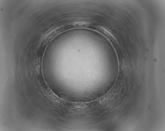 X0000067871015200604171219