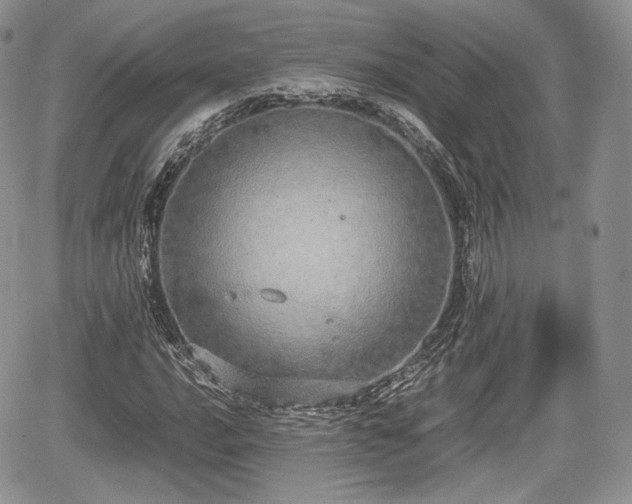 X0000067871016200604171219