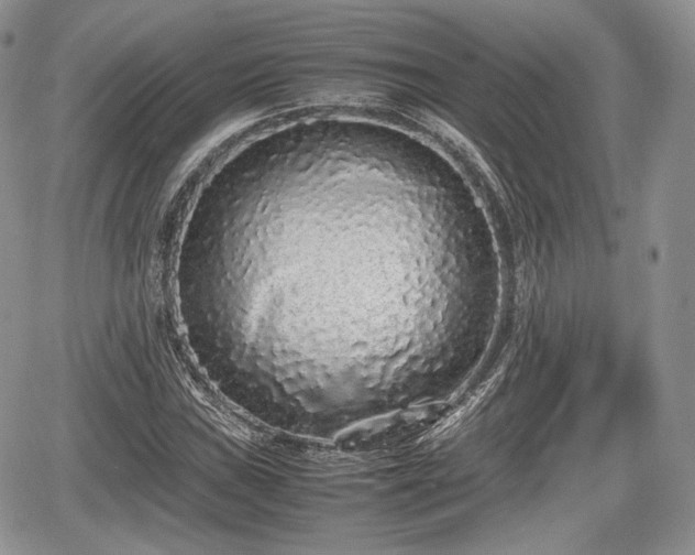 X0000067871019200604171219