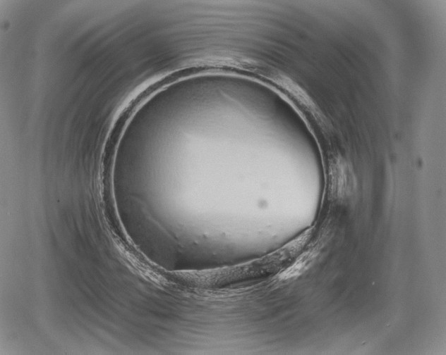 X0000067871020200604171219