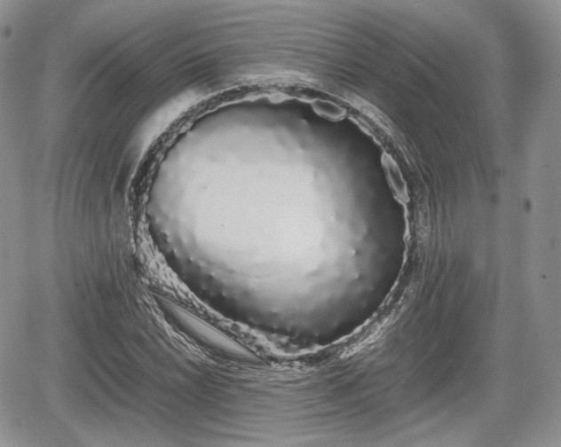 X0000067871022200604171219