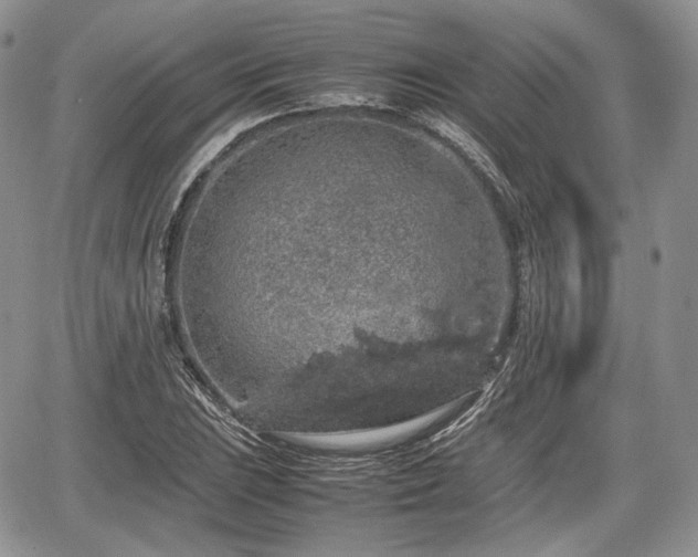 X0000067871023200604171219