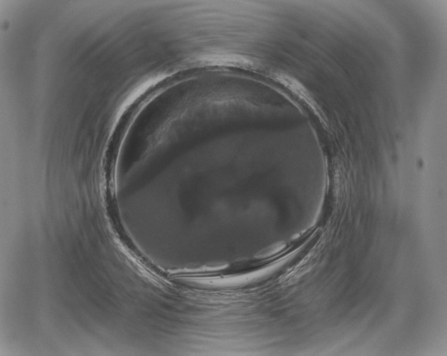 X0000067871024200604171219