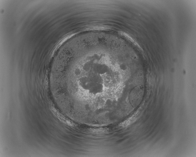 X0000067871025200604171219