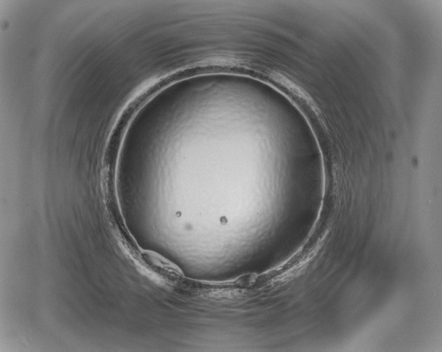 X0000067871029200604171219